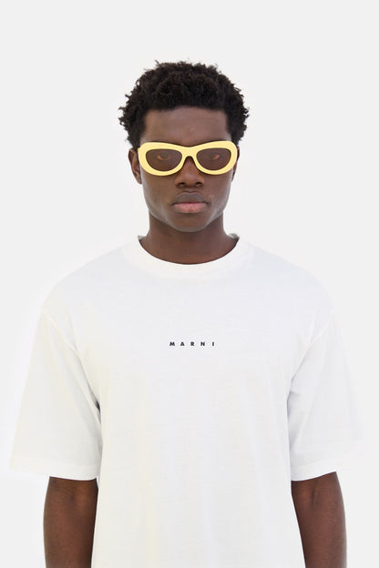 Field Of Rushes Yellow