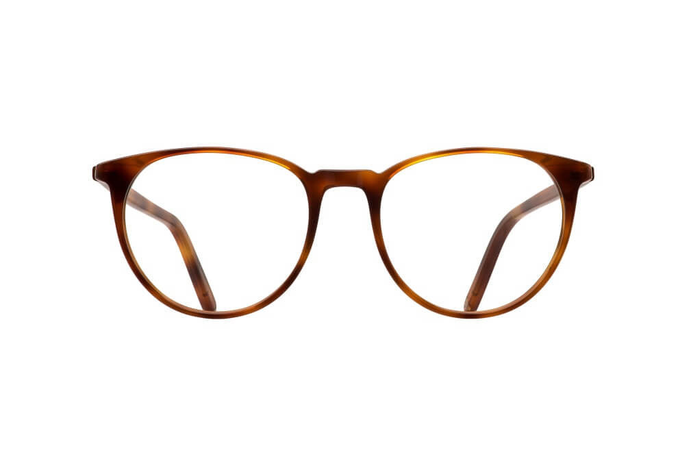 AMERICANO - HONEY TORTOISE