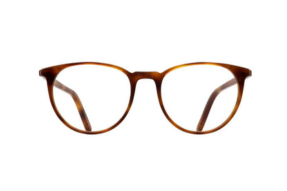 AMERICANO - HONEY TORTOISE