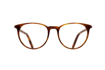 AMERICANO - HONEY TORTOISE