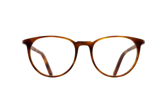 AMERICANO - HONEY TORTOISE