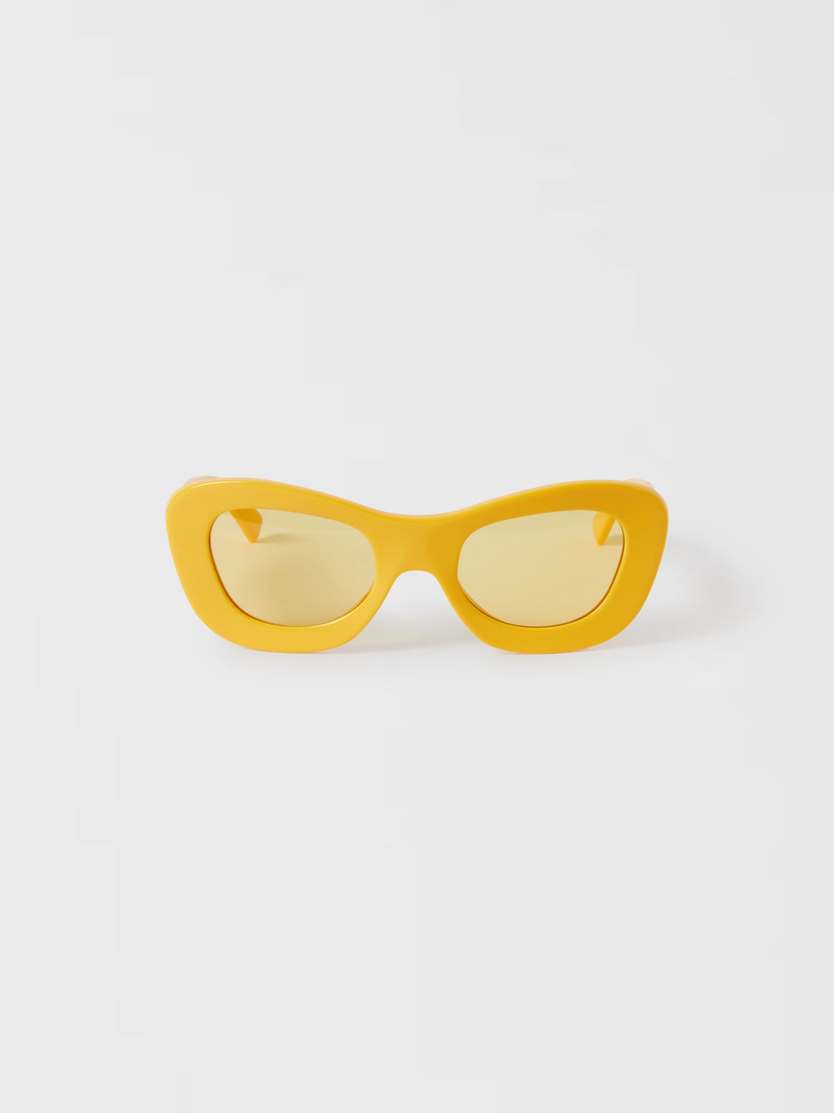 Felis  Yellow