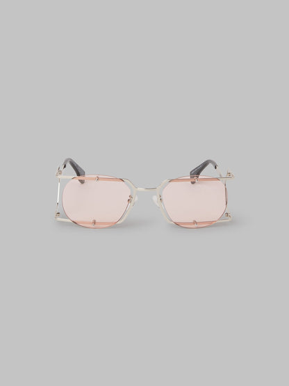 Mutisia  Silver Pink