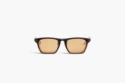 LT02E BROWN S