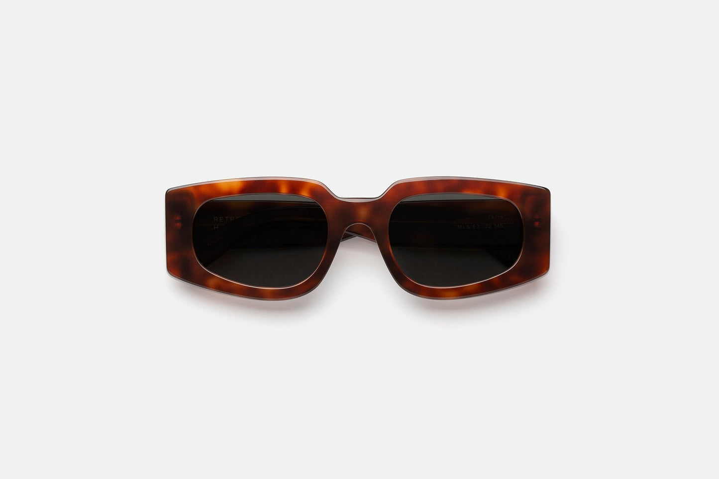 Tetra Havana Diversa